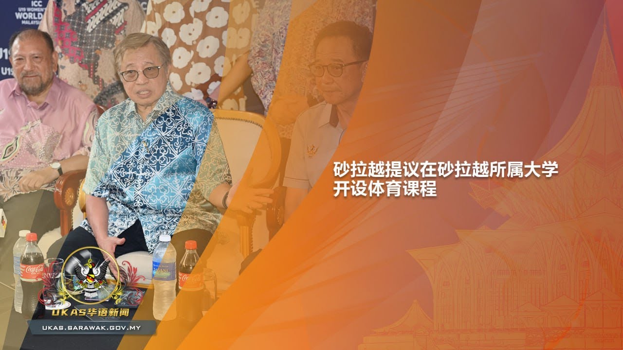 样的优秀球